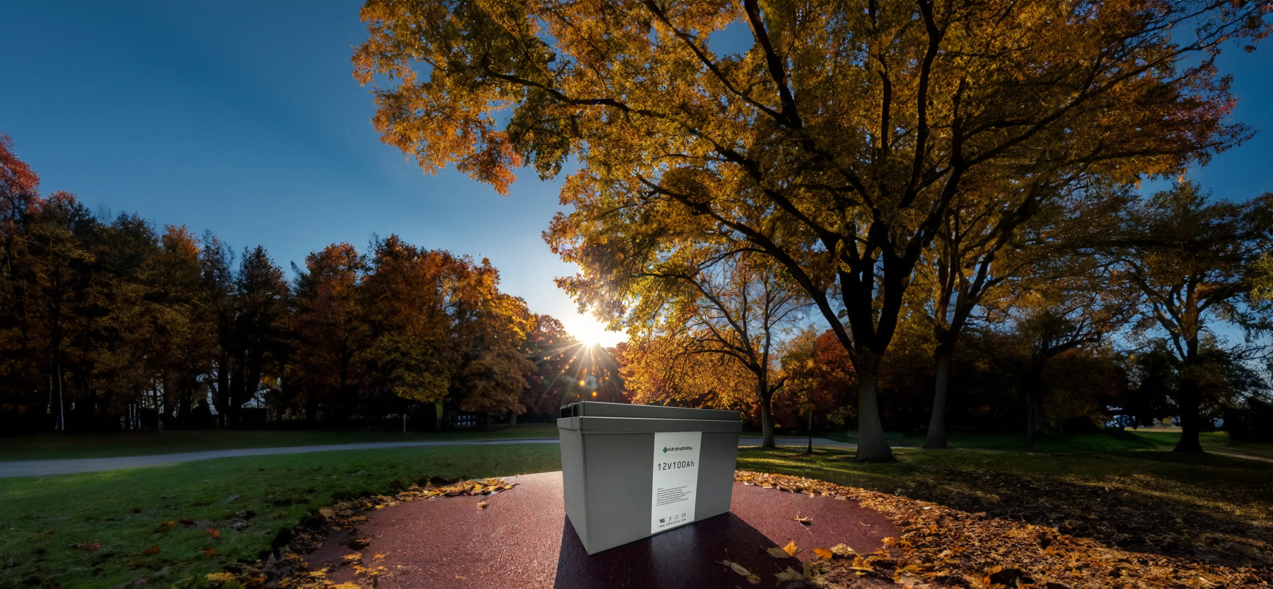 12100_silver_1.webp